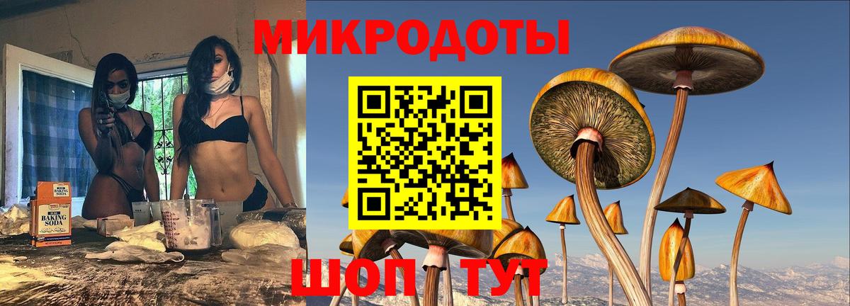 Галлюциногенные грибы мухоморы  Вход с VPN  Новоуральск  Галлюциногенные грибы мицелий 